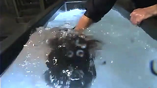 Lotus and Faith Leon