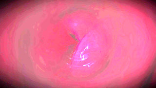 B021 Giantess Titty Fuck Farting Face Sitting Man Shrunk and Trapped in Woman's Vagina Pussy Swallowing Full Version