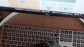 Free Use Secretary