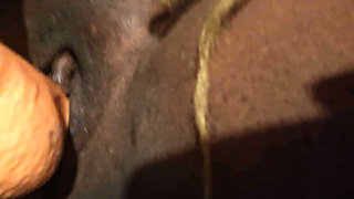 Neighbor likes to fuck me after work