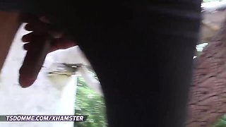 three juggs tranny punishers get their shlongs licked b