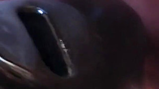 Hot Hardcore Lesbian Dildo Fucking Slut Nancy Reegan Gets Dominated