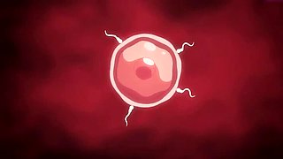 Uncensored Hentai Compilation: Blowjob, Creampie & Doggystyle Sex - Anime Parody Part 1