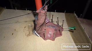 Hardcore CBT with Fishhooks and Needles