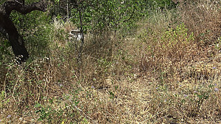 French Cuckold Wife and Husband in Cap D'agde Nudist Resort