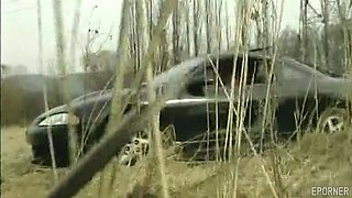 Vintage sex in the car