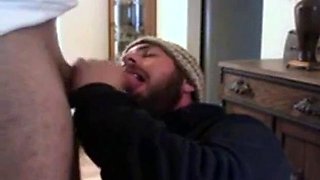 Bear Swallows Wrestling Coach