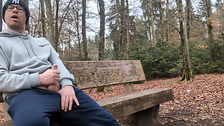 Shamelessly jerked off on park bench and cummed