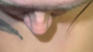 Great amateur video of Brunette POV oral sex