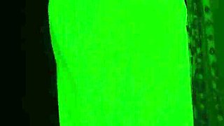 Desi Wife Fucks Her Stepsister's Husband - Indian Hot Sex with Blowjob and Doggy Style