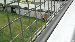 Czech Experiment 9: Beauties Eat Each Other Out in Public