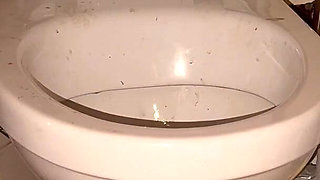 Licking Dirty Floor and Toilet, Flashing Head in It