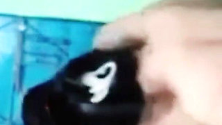 GF Fucking When Nobody Home Alone Beautiful Desi Girl