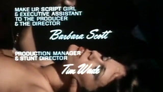 Classic Porn Dvds: Liquid Lips: Part 1