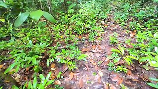 Thai Teen Girls 4K: Amateur Asian Babes Walking in Forest Pick Mushrooms Together