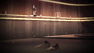 Sinful chippie's anal porn