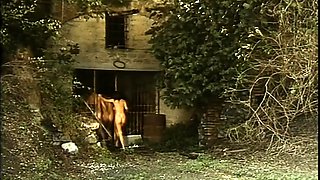 Group Sex Outdoor