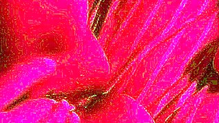Amazing Webcam Solo Masturbation More at