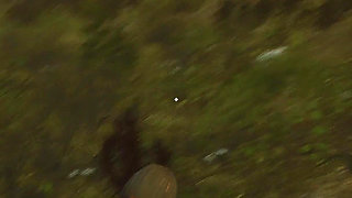 Ep2: Wicked Island (gameplay)