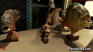 Pawn Shop Lies Exposed by Hot [censored]